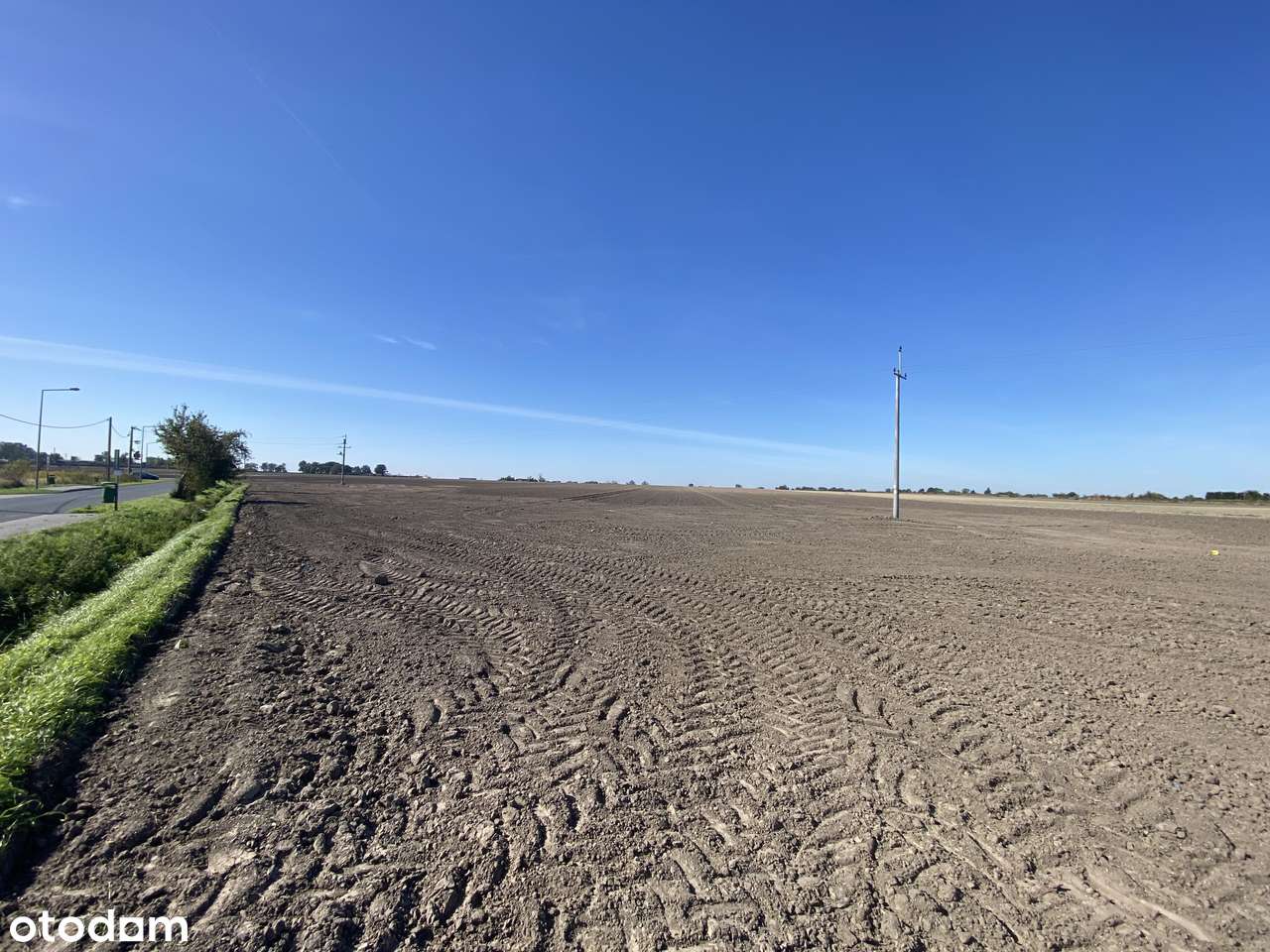 Działka rolna inwest. 3 ha Sokolniki — cisza i natura, blisko Poznania - Pełny obrazek: 5/10