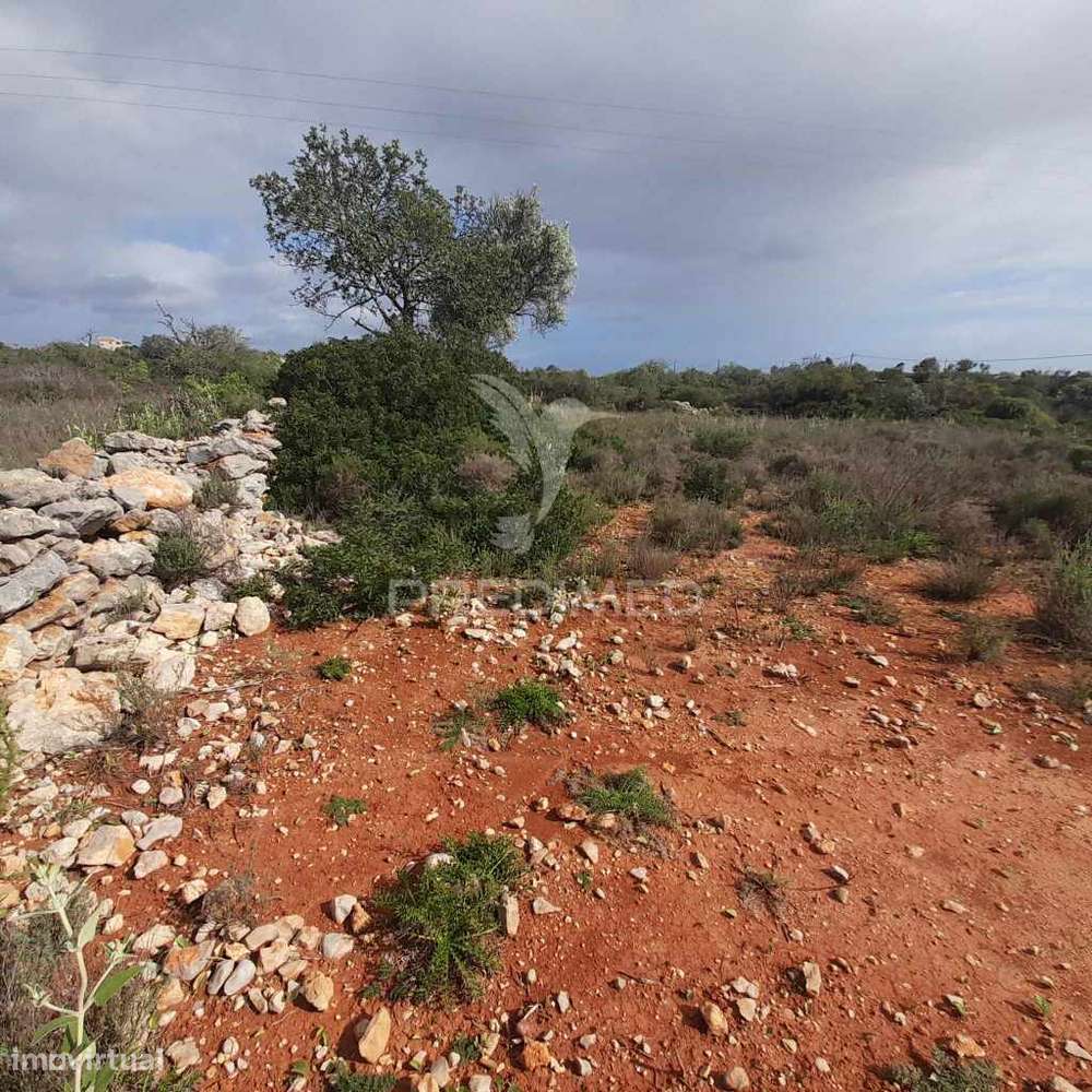Terreno Rustico  entre Estói e Moncarapacho - Grande imagem: 5/11