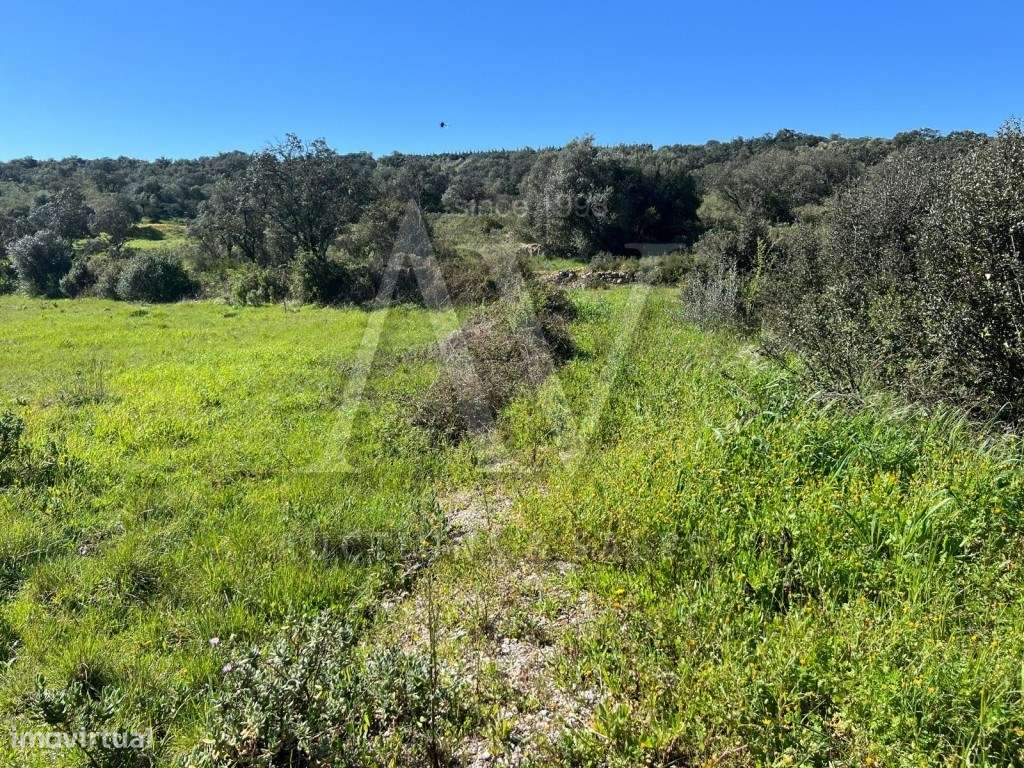 Terreno rústico - NOSSA SENHORA DAS MISERICÓRDIAS - OURÉM | LEILÃO ... - Grande imagem: 5/23