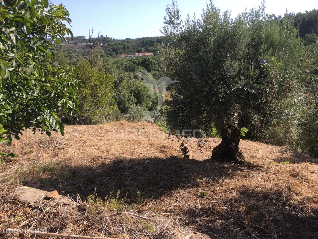 Moradias para recuperar Concelho Tomar. ( com projeto ) - Grande imagem: 5/9