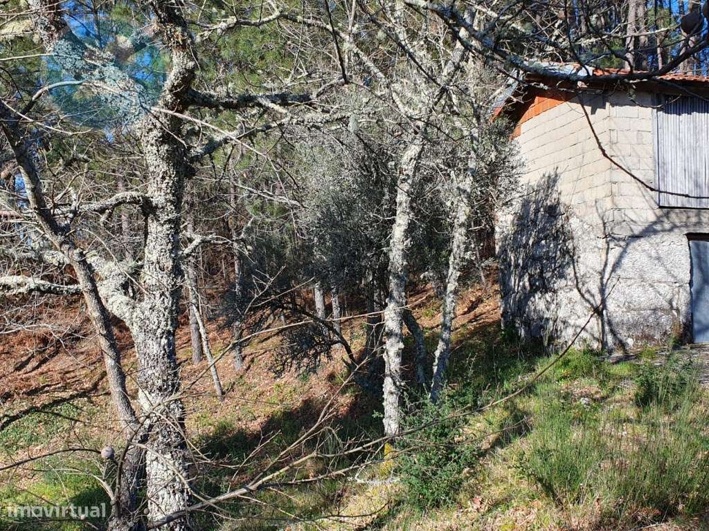 Quinta à venda, localizada no Lugar de Água Redonda, Cabeceiras de ...-32