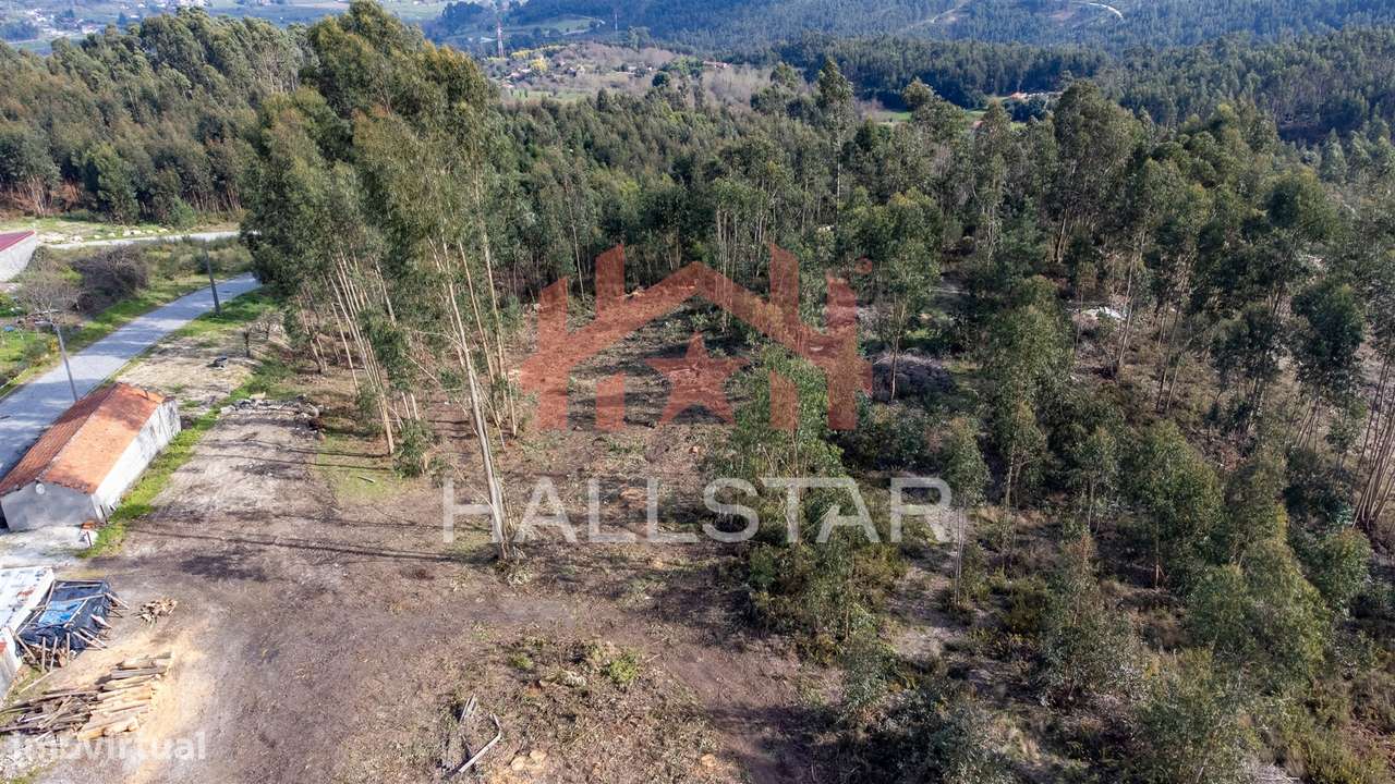 Terreno Florestal / Área Total 2.500m2 / Penafiel - Grande imagem: 4/6