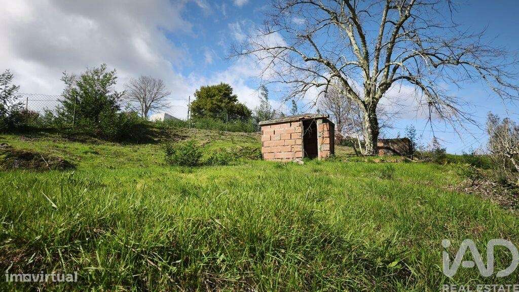 Casa / Villa T4 em Tábua de 134 m2 - Grande imagem: 4/39