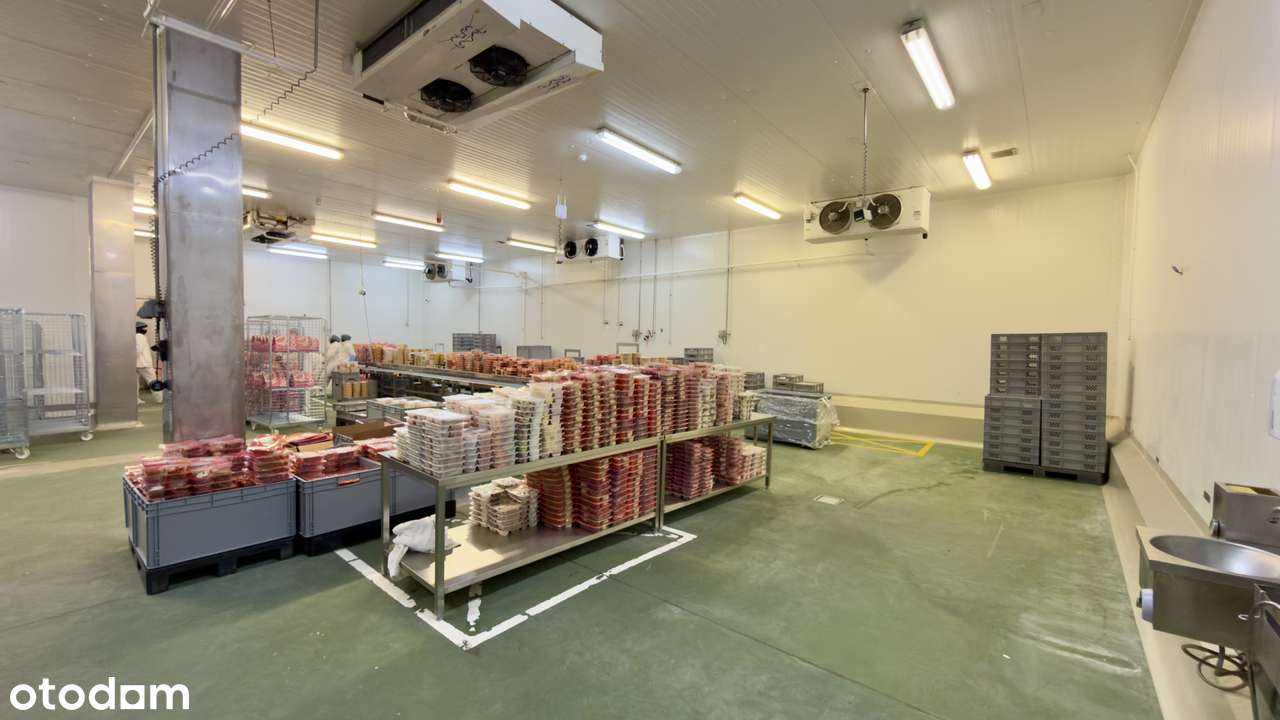 Hala 1273 m² z CHŁODNIĄ | 2 Rampy | HACCP | Parking TIR/BUS | A4/S1