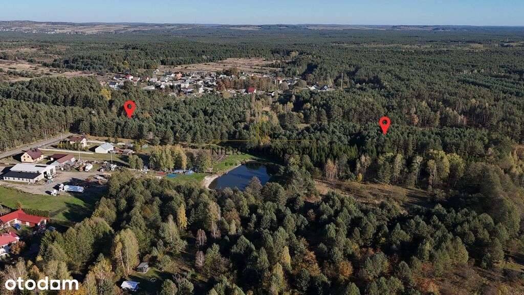 Działki w spokojnej okolicy–Dyle - 1,88 ha - Pełny obrazek: 5/11