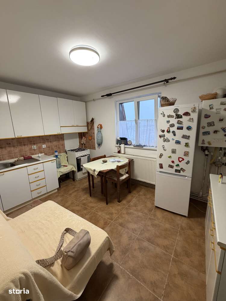 Vanzare 2 decomandate Lapus Arges-7