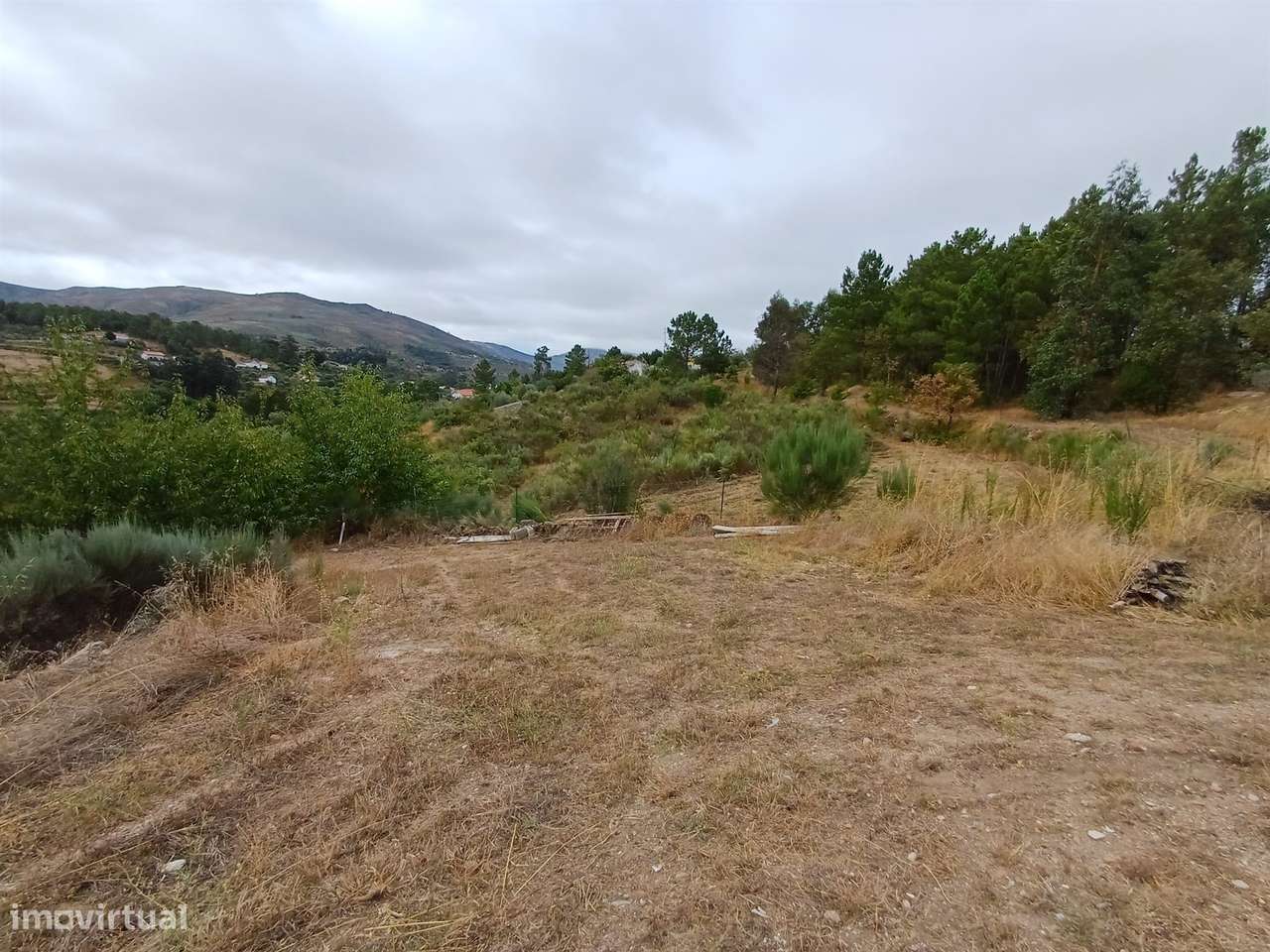 Propriedade com 2 casas-25