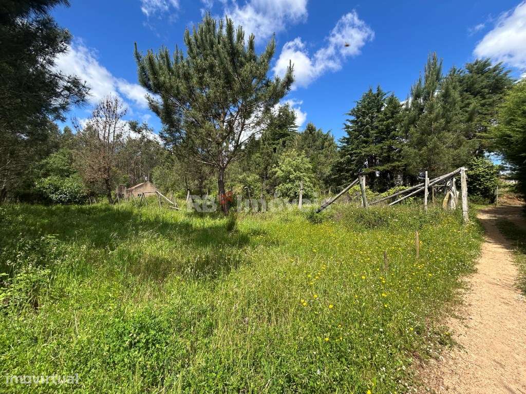 2 Terrenos com estufas - Pardielas, Ferreira do Zêzere - Grande imagem: 2/39