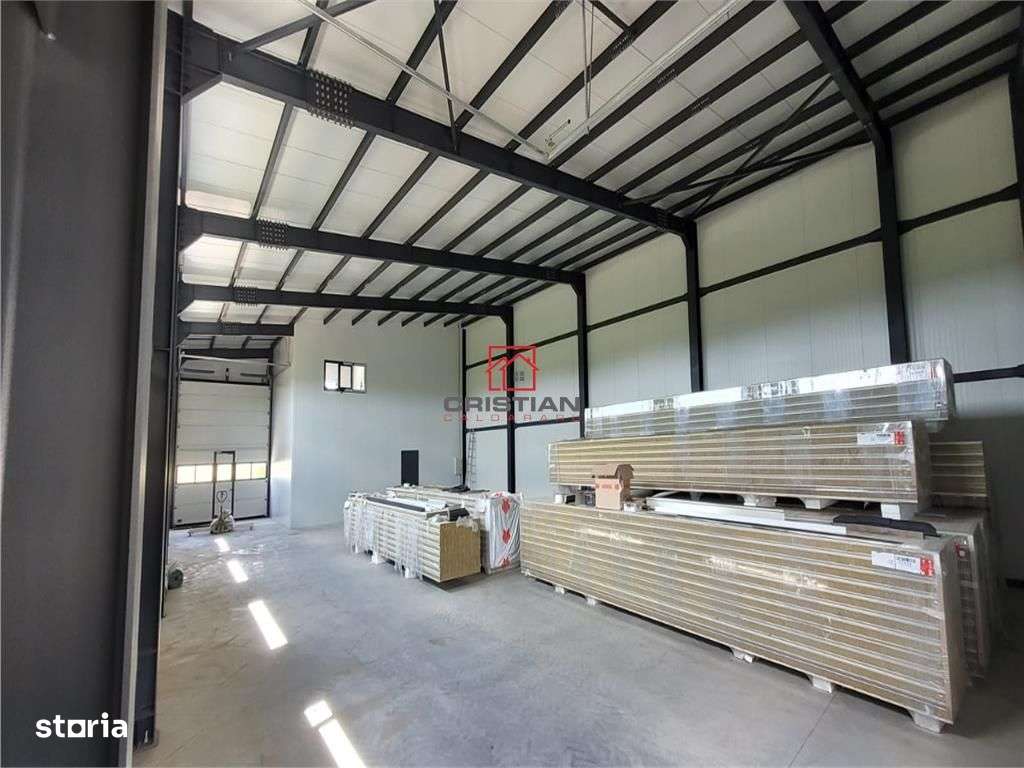 Vanzare depozithalaspatiu industrial Domnesti - Centura, Ilfov - Imagine principală: 3/20