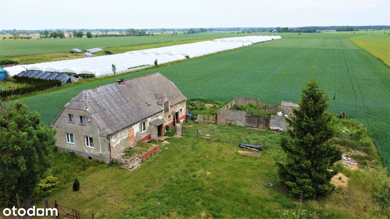 Na sprzedaż siedlisko w Renicach na dużej działce.-2