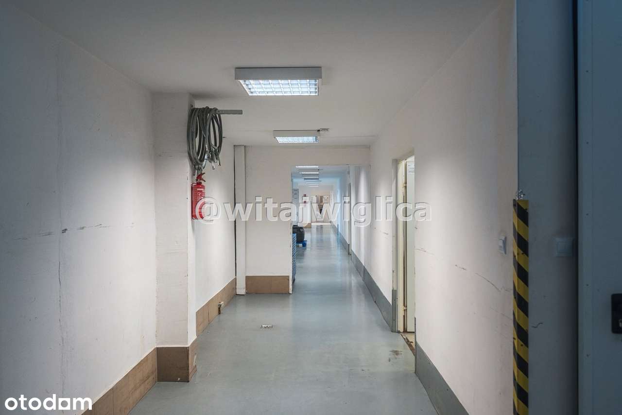 Zakład produkcyjno-magazynowy na sprzedaż - Pełny obrazek: 4/9