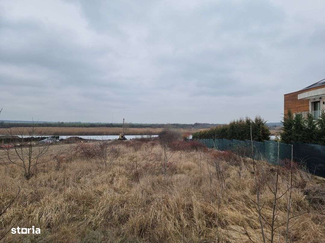 Teren Izvorani iesire Lac | loturi Izvorani | delta Snagov-11