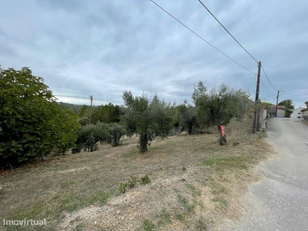 Terreno Misto na Rua da Cavadinha - Sabacheira, Tomar - Grande imagem: 4/4