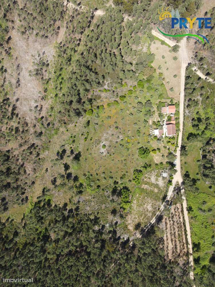Quinta com 2 hectares de área total-sinónimo de privacidade e sossego-11