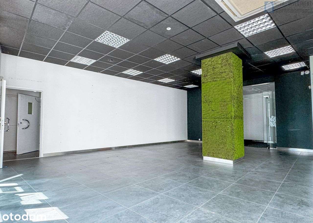 parter | witryna | narożny | Trynek | c.o miejskie - Pełny obrazek: 1/17