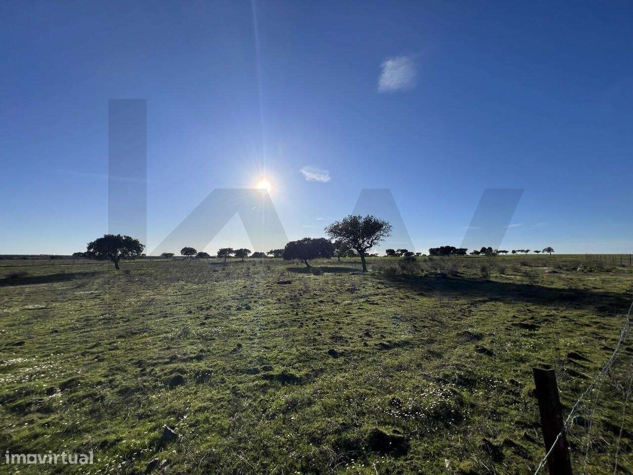 Herdade Exclusiva Junto à Barragem do Alqueva – Investimento Turístico-28