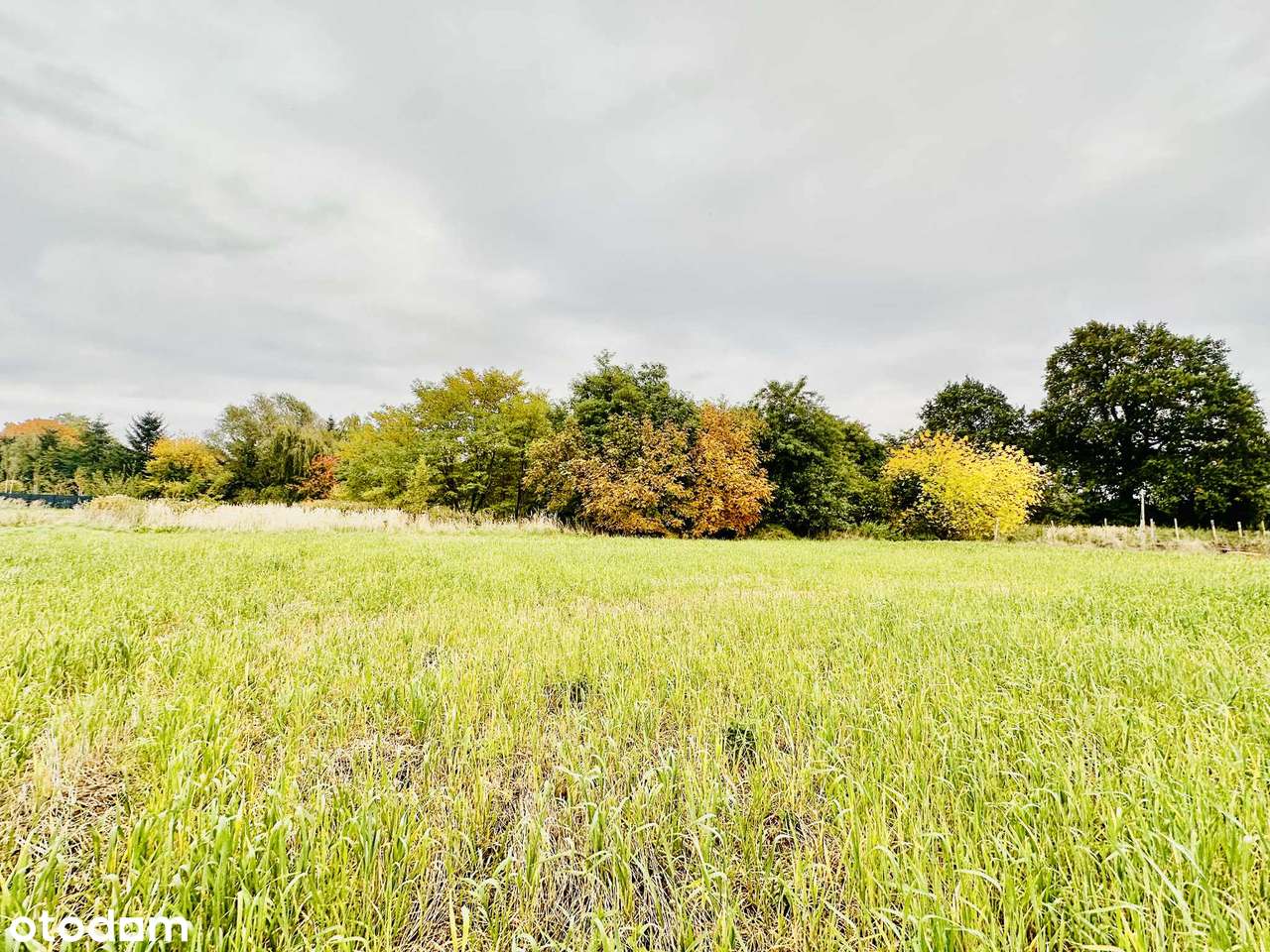 Racławice Wielkie działka budowlana 1500 mkw-6