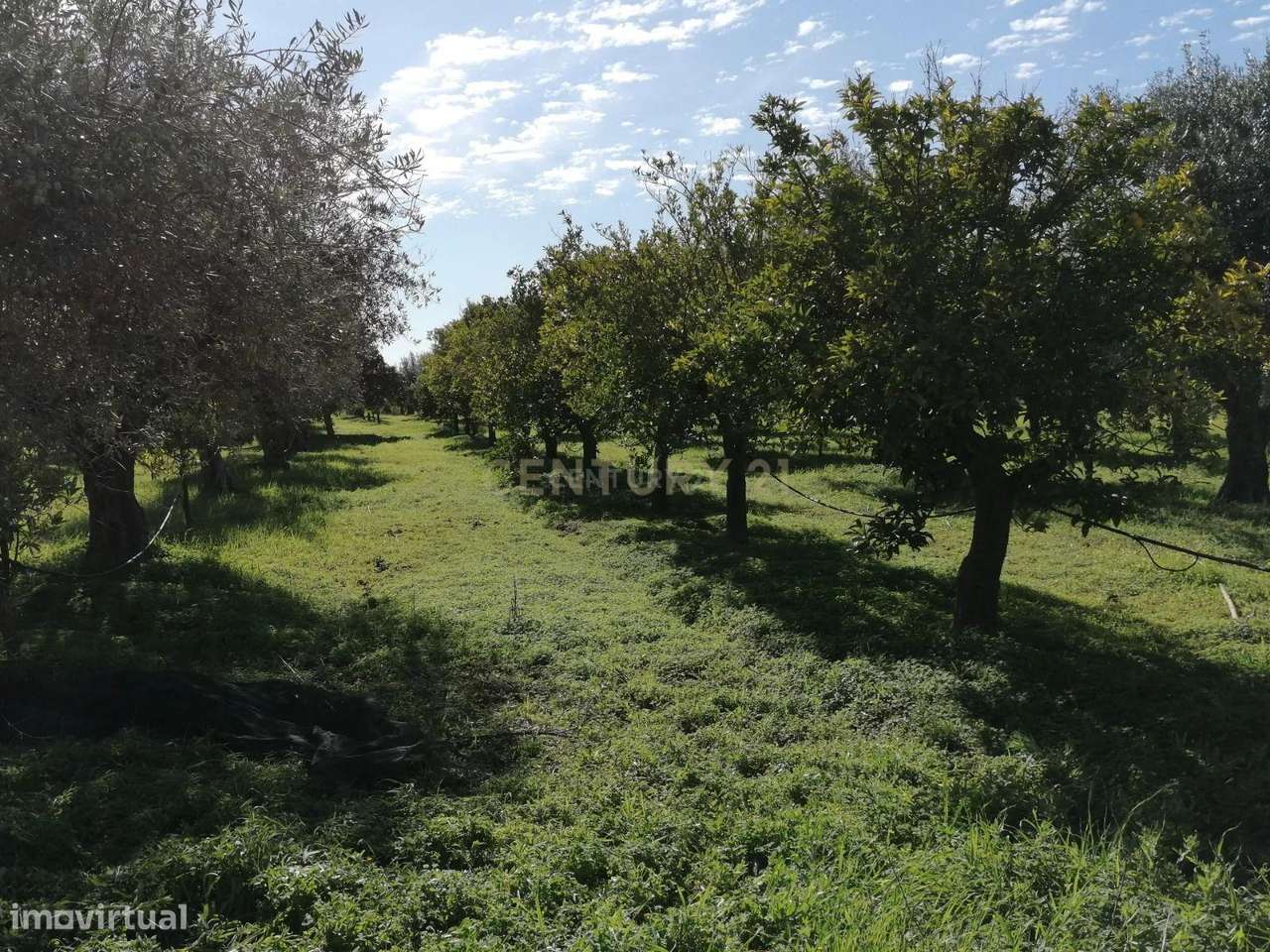 Quinta no Carapetal-14