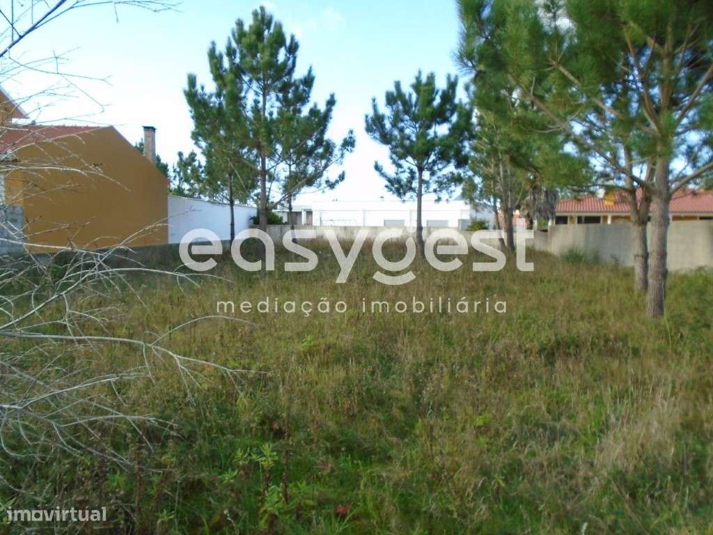 Terreno Urbano com 919 m2 perto do Centro da Vila de Pataias - Grande imagem: 5/14