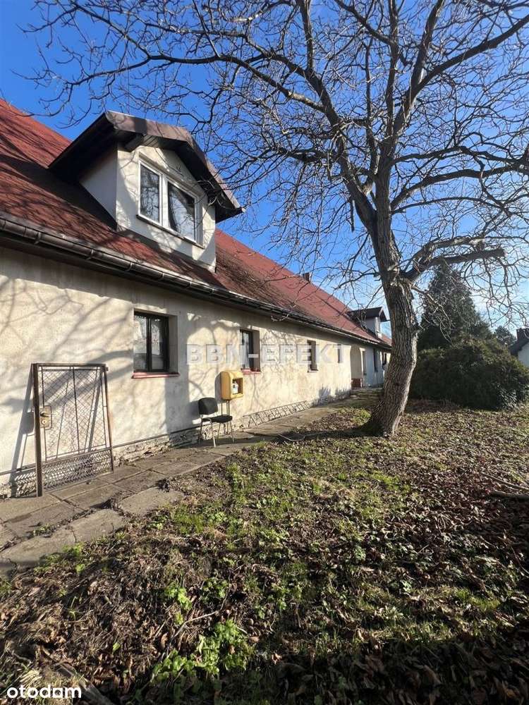 Lokal użytkowy, 600 m², Bielsko-Biała-1