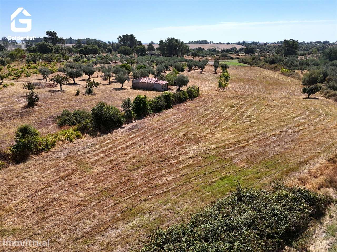 Quinta  Venda em Lardosa,Castelo Branco-13