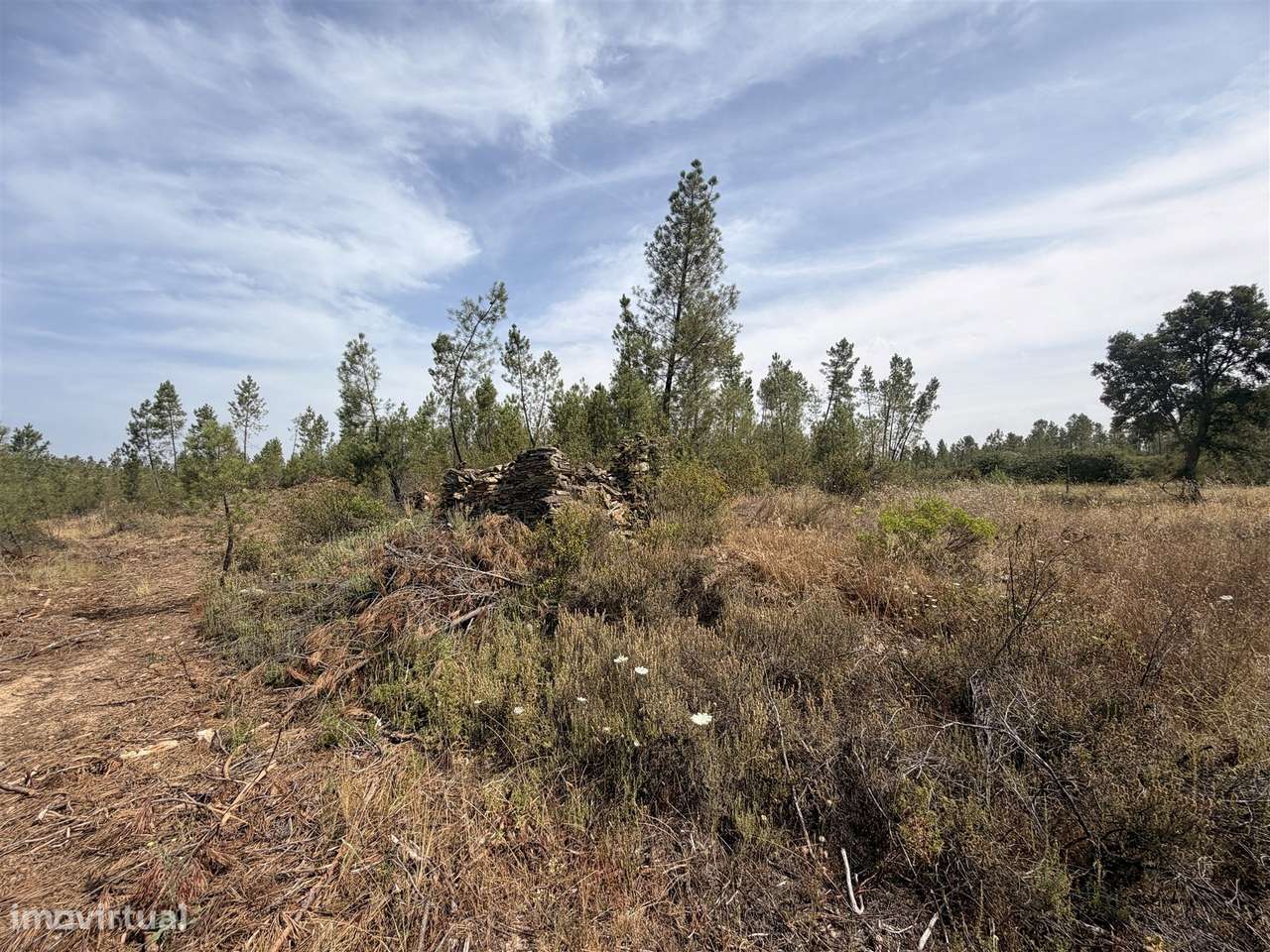 Quinta T0 Venda em Santo André das Tojeiras,Castelo Branco-8