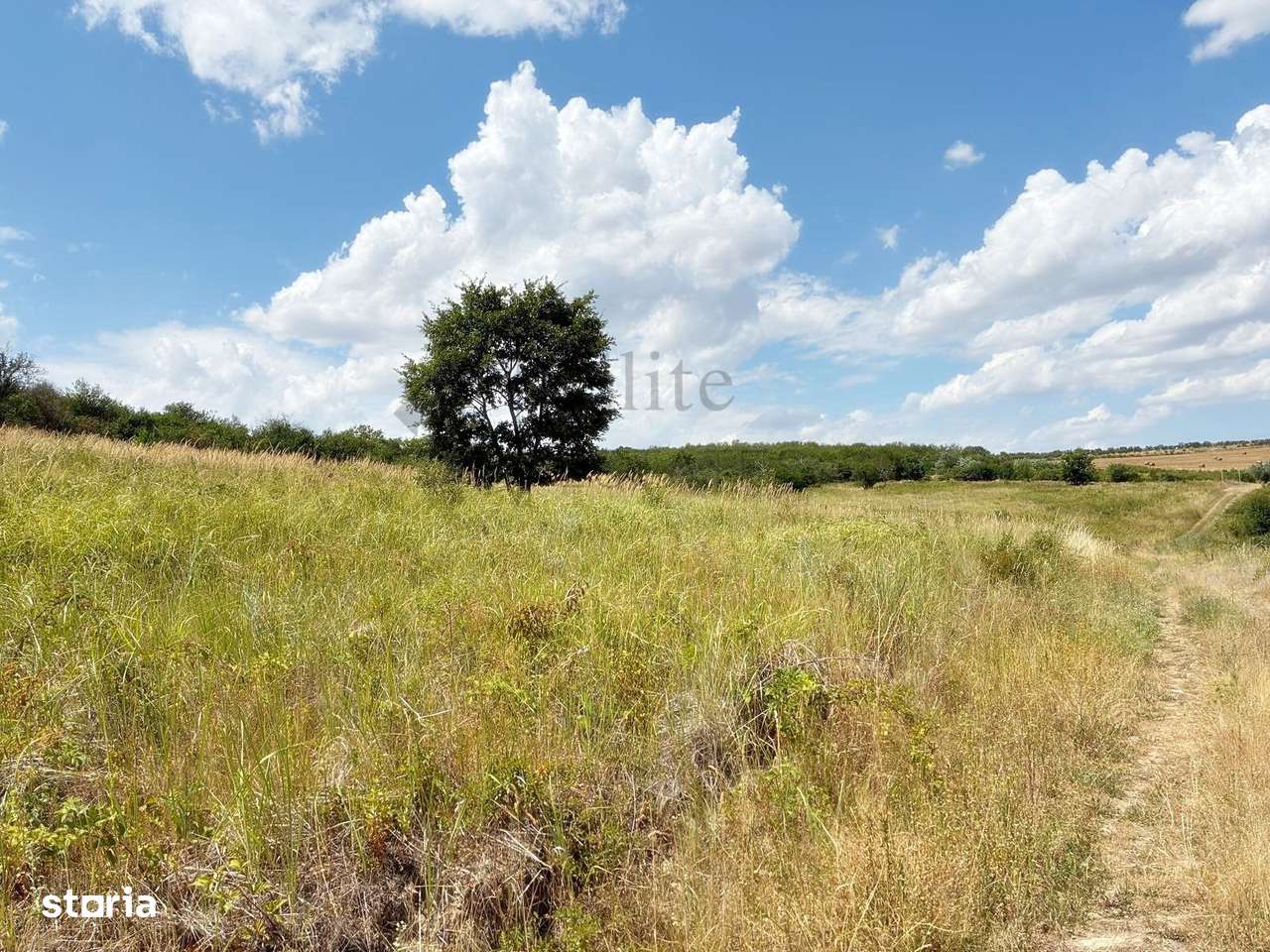 Teren intravilan cu o suprafață de 11.050 mp | Ideal ptr investitii - Imagine principală: 3/3