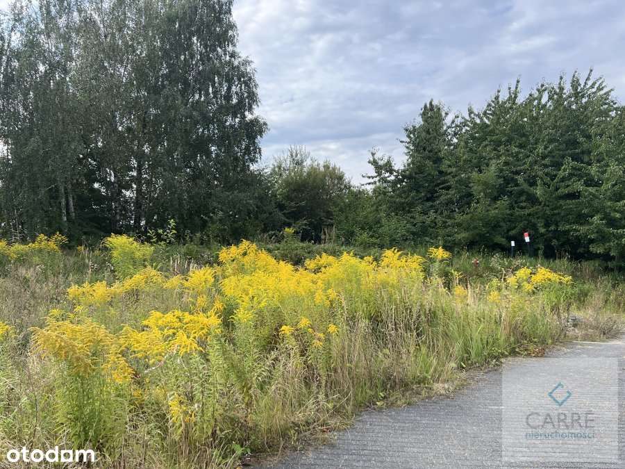 Działka budowlana w dzielnicy Bukowo. - Pełny obrazek: 2/5