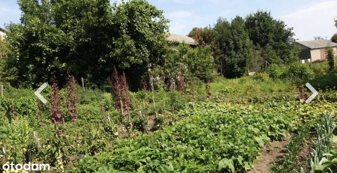 Sprzedam Dom / Siedlisko w Józefkowie (Białotarsk) - Pełny obrazek: 5/20