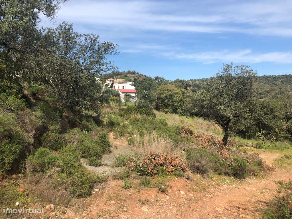 Terreno com projeto aprovado com Vista Serra e Quinta Umbria - Grande imagem: 5/8