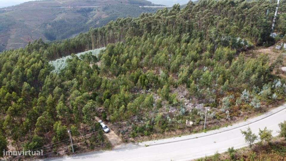 Terreno – Sever do Vouga - Grande imagem: 5/7