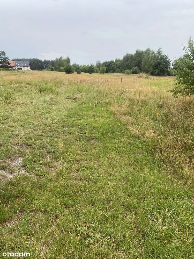 6 działek bud. po 1000mkw. każda w miejsc. URAZ gm. Oborniki Śląskie-9