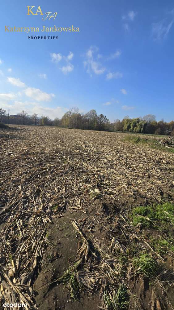 Wyjątkowa nieruchomość gruntowa na sprzedaż, Krzyżowa, gmina Świdnica-4