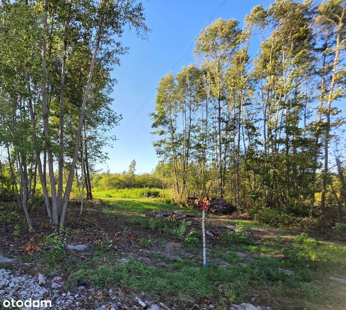 Sprzedam bezpośrednio 4 działki w Górkach (łączna wielkość 2440 m2) - Pełny obrazek: 4/6