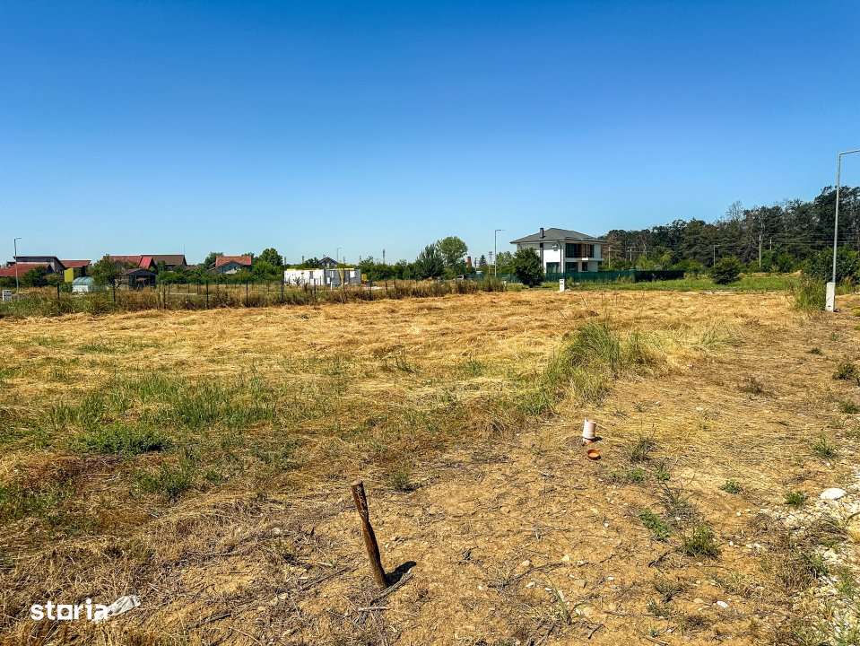 Teren 1116 mp gulia Eden Forest - Imagine principală: 3/5