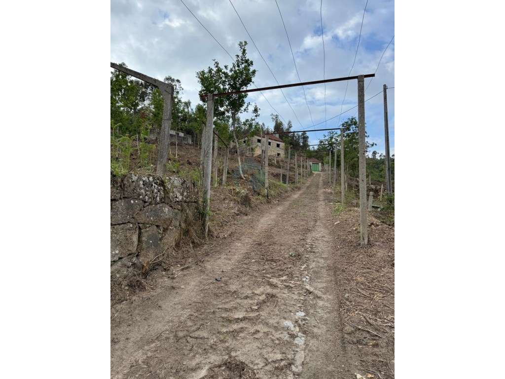 Quinta com Potencial em Marco de Canaveses-21