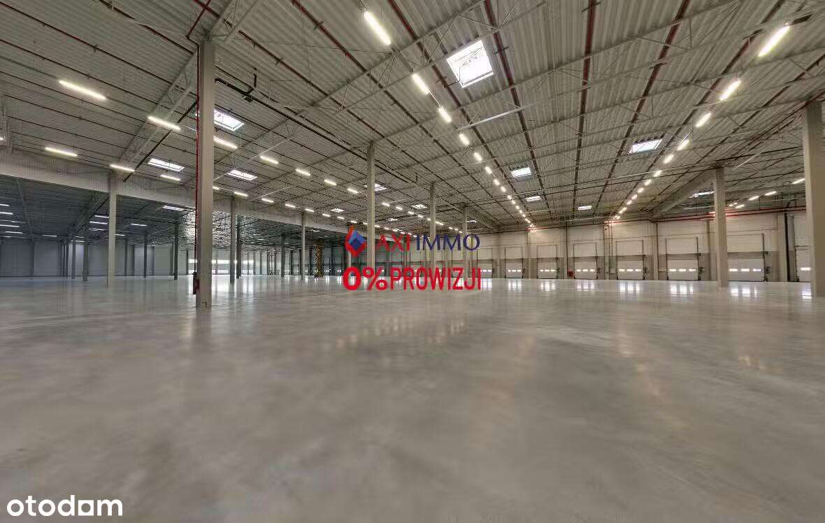 Magazyn przy A2 Gorzów Wielkopolski 9 000 m2 - Pełny obrazek: 4/4