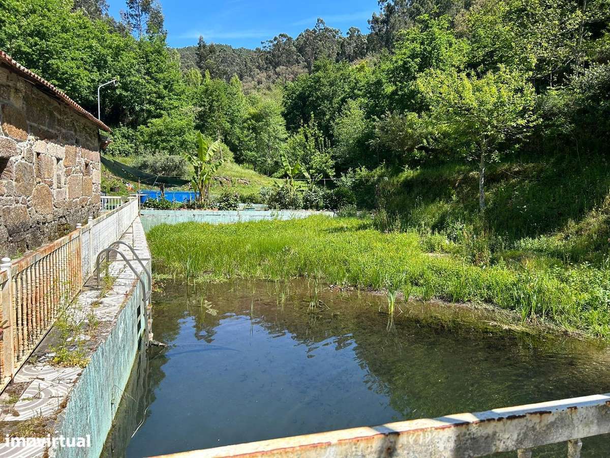 Quintinha com 1103m2 para recuperar - Grande imagem: 5/23
