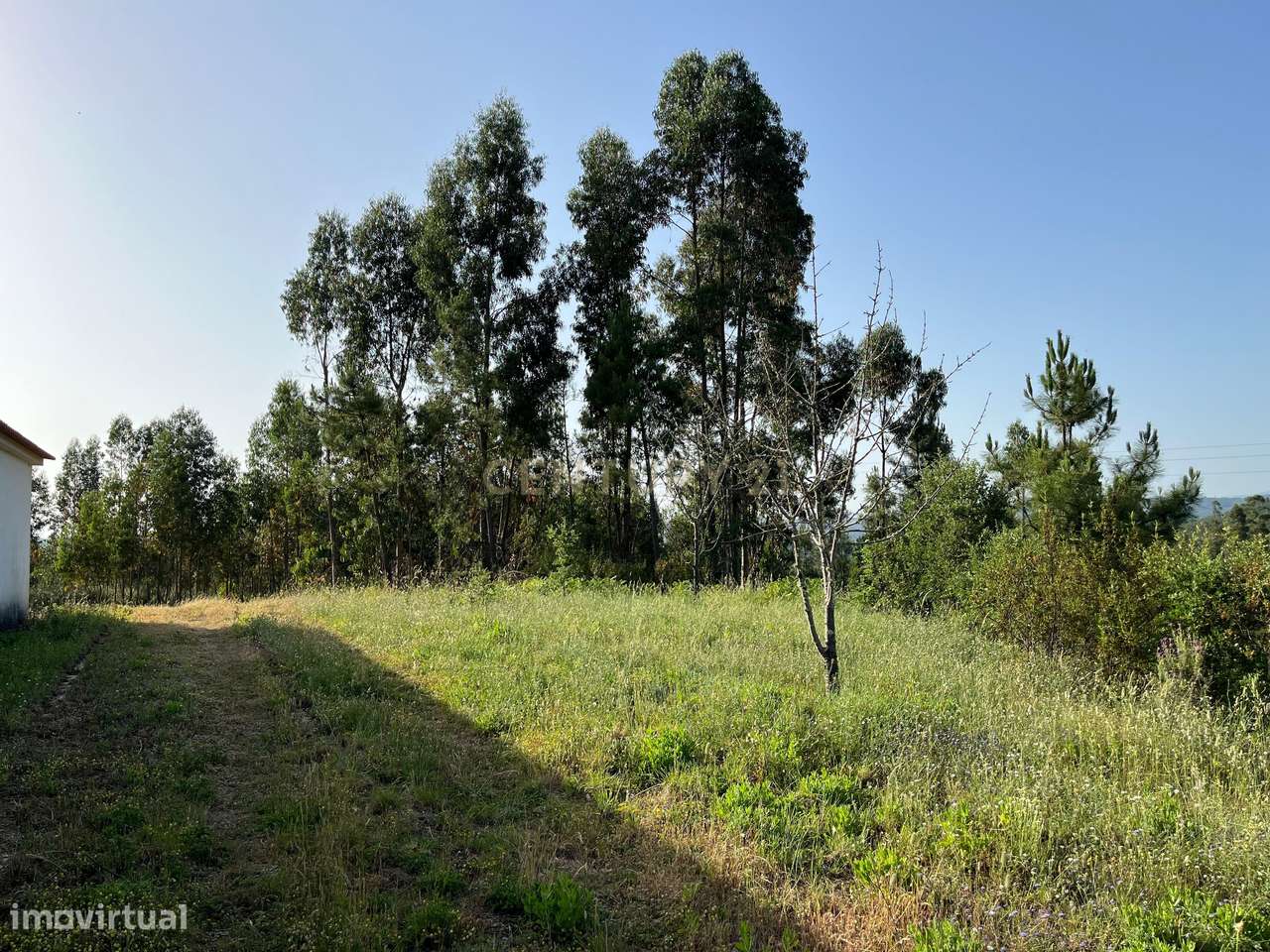 Propriedade de Campo com 35.400 m² entre o Robalo e o Monte Fundeiro n - Grande imagem: 4/50