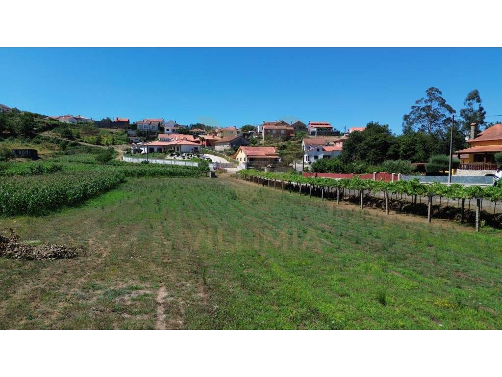 Terreno com 600 m² em Arcozelo - Ponte de Lima - Grande imagem: 4/9