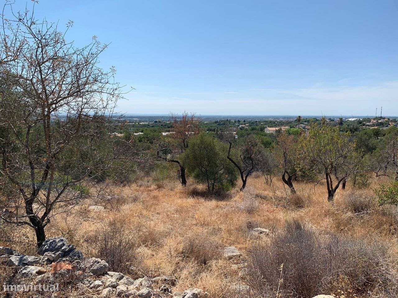 Terreno Urbano, com 3 artigos, Colmeal-15