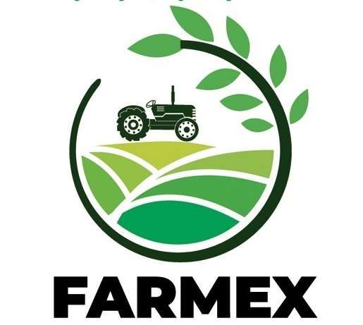 FARMEX Jolanta Podemska logo