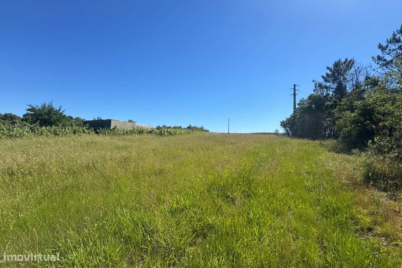 Terreno com viabilidade de construção em São Lourenço do Bairro-3