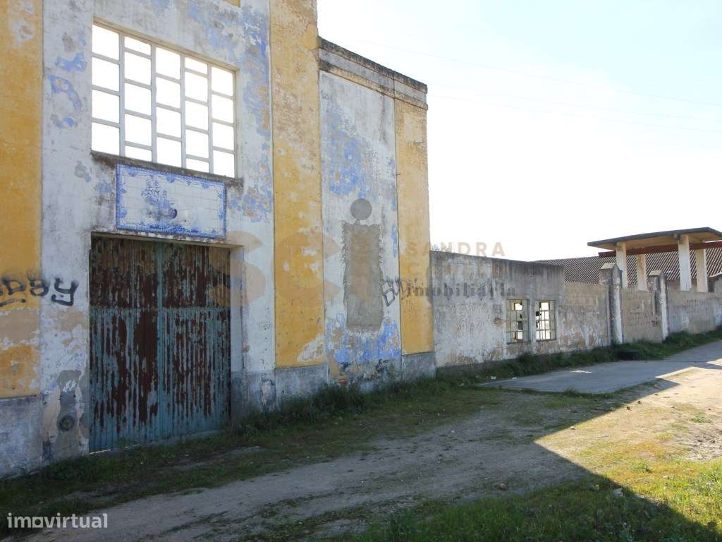 Terreno Misto em Palmela com Adega para Recuperar Loteamento - Grande imagem: 4/40