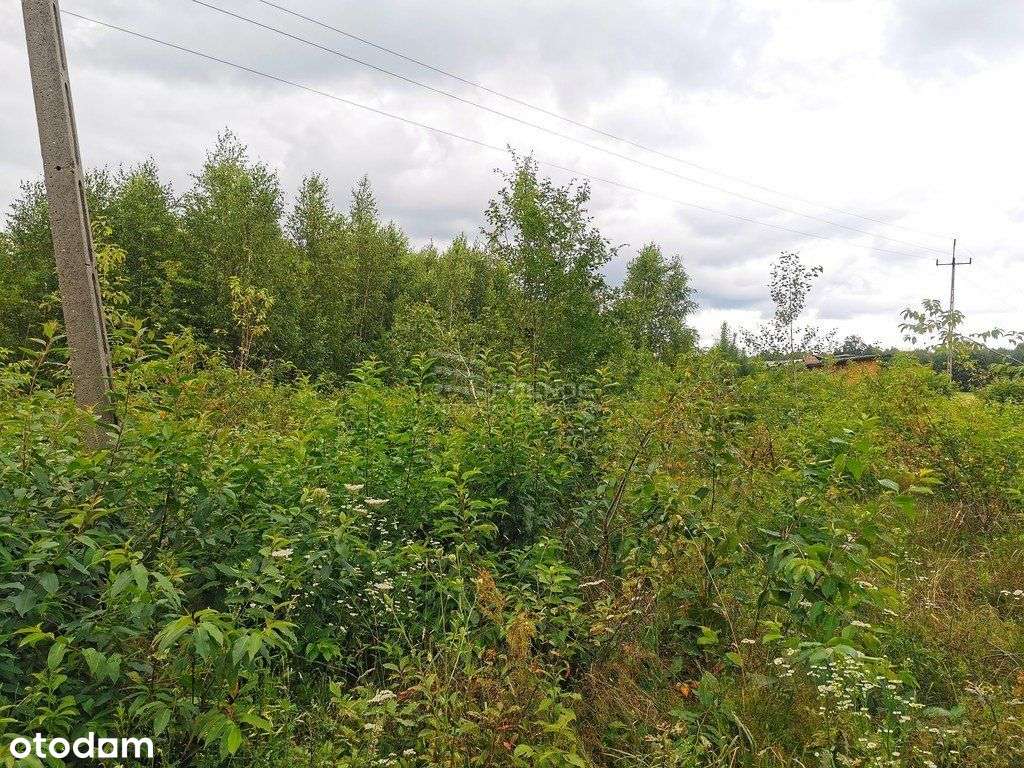 Działka budowlana z Wz przy lesie, 51 M szerokości - Pełny obrazek: 4/5