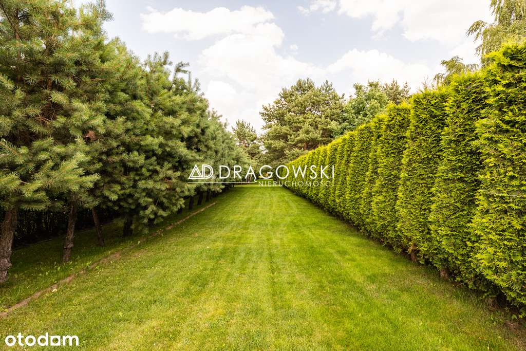 Budynek produkcyjno-magazynowo-biurowy pow. 1260m2 - Pełny obrazek: 3/8