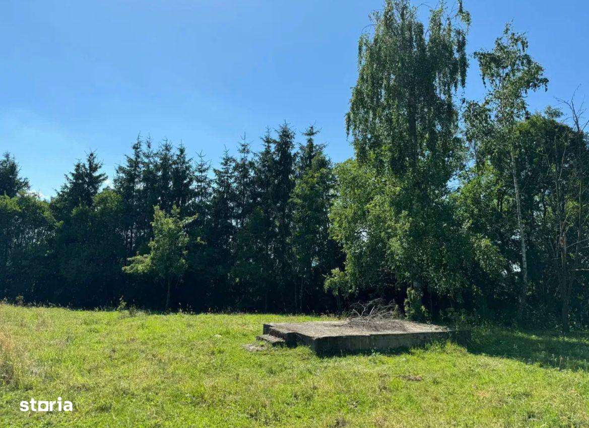 Teren intravilan de 5.755 mp în Doboeș, Sighetu Marmației-3