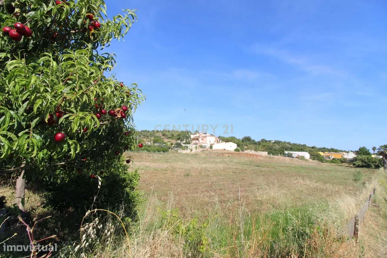 Terreno rustico no Sítio do Almargem - Tavira - Grande imagem: 5/19