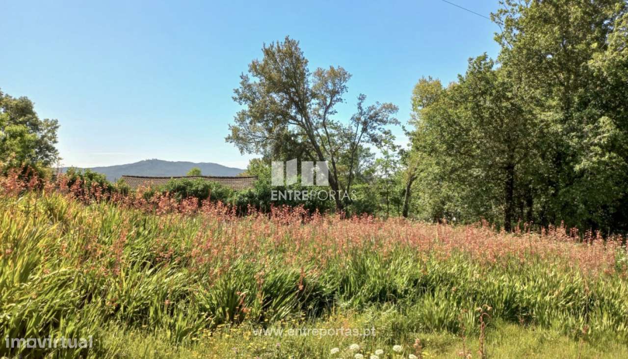 Venda de Terreno, Cardielos, Viana do Castelo - Grande imagem: 2/24