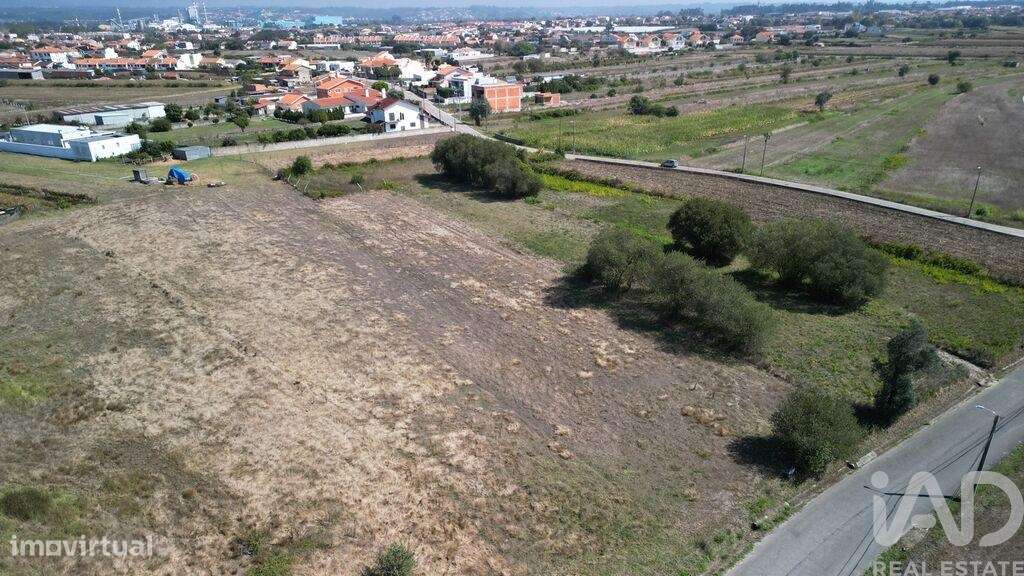 Terreno Agrícola em Cacia - Grande imagem: 3/7